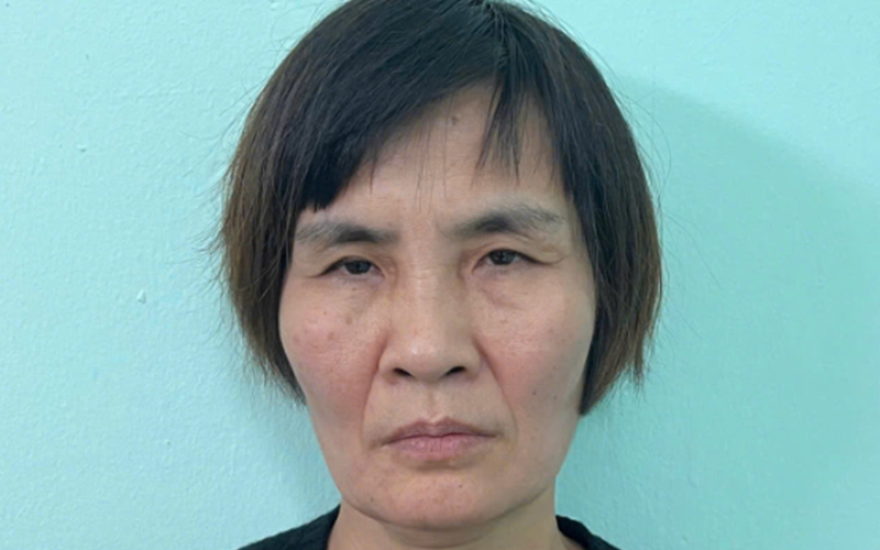 Bắt giữ Dương Thị Hoàng Yến về hành vi môi giới mại dâm- Ảnh 2.