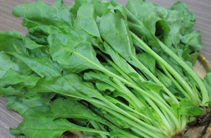 Nên ăn gì để giảm cân trong mùa đông?- Ảnh 2.