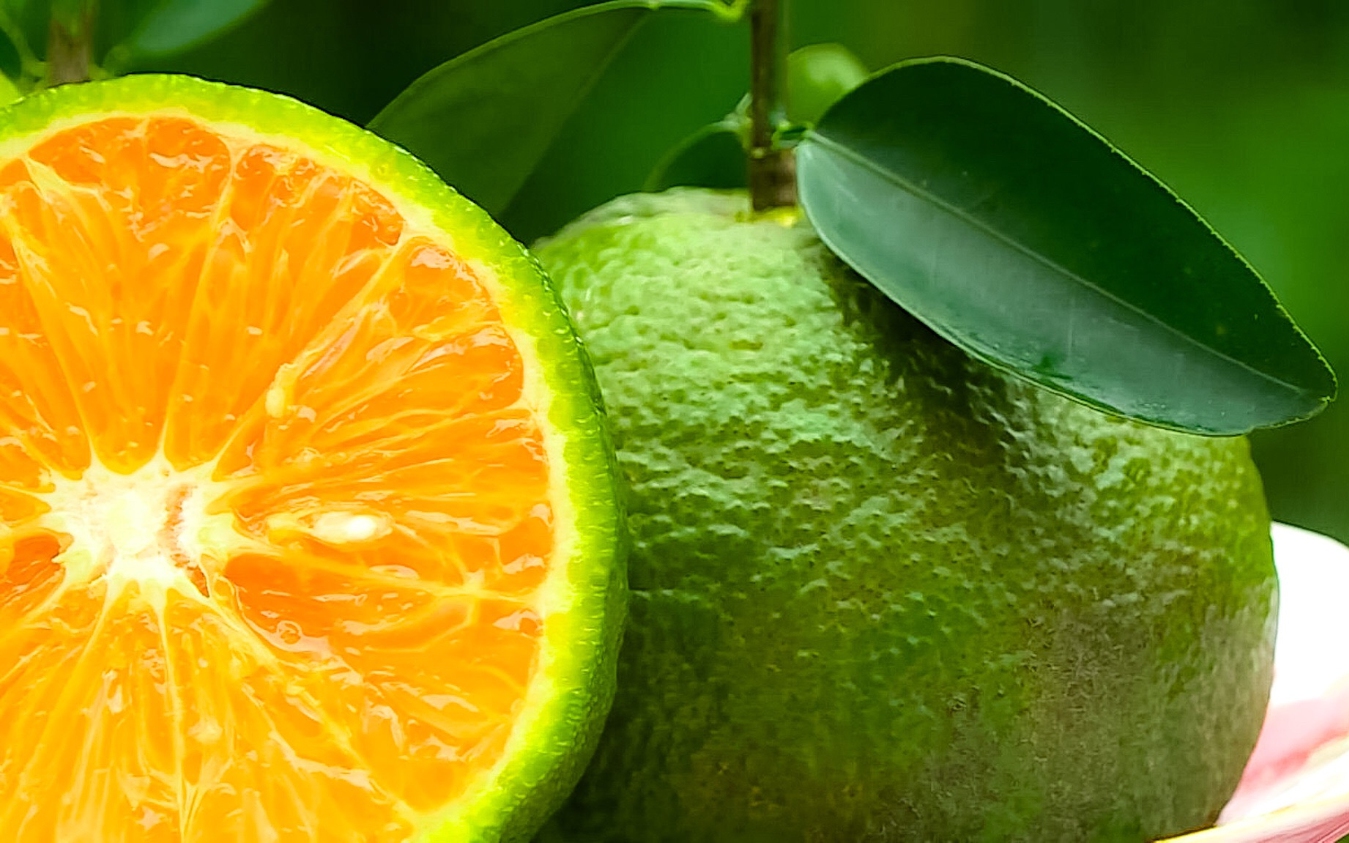 5 loại trái cây giàu kali hỗ trợ kiểm soát và giảm huyết áp tự nhiên