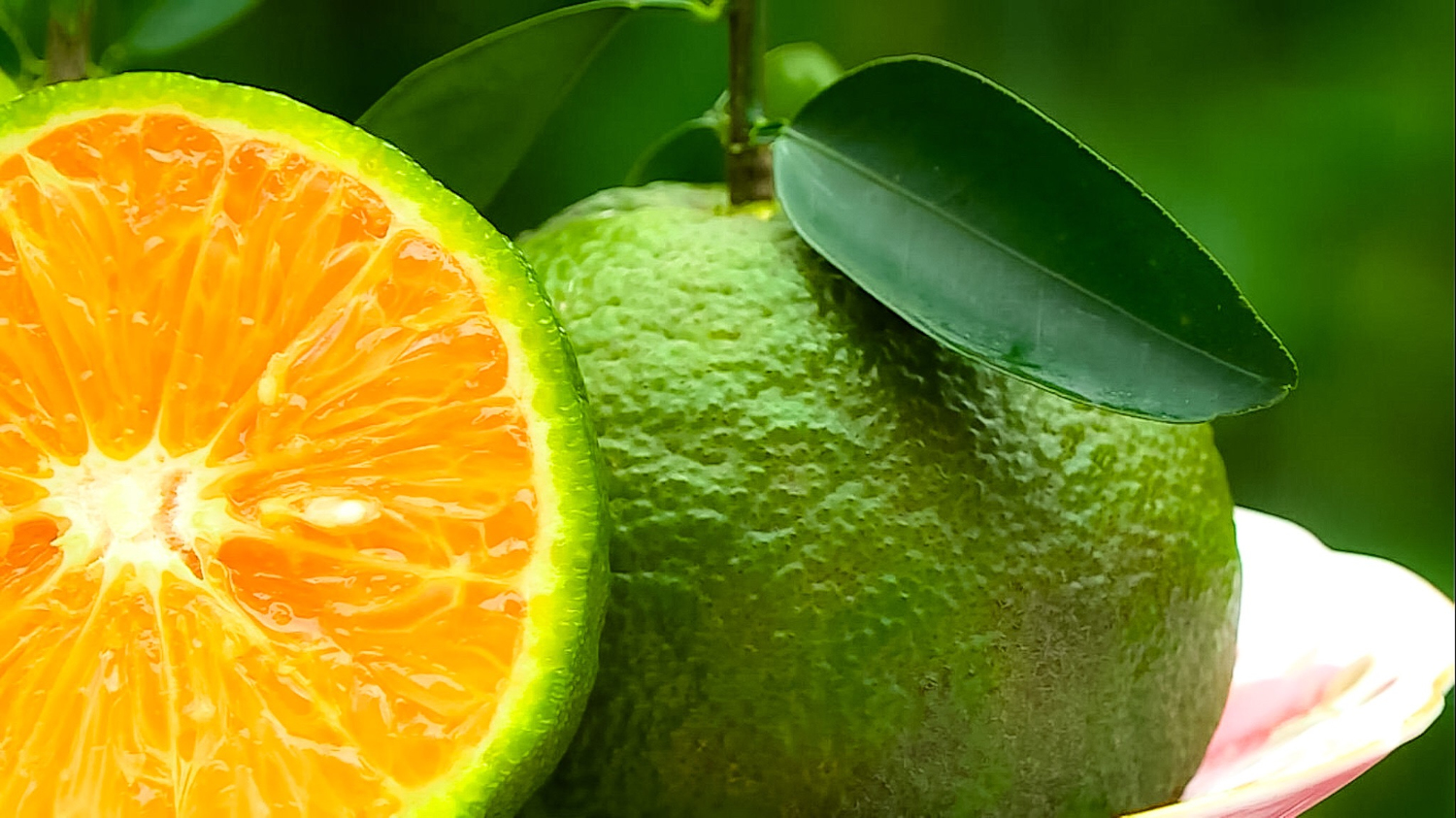 5 loại trái cây giàu kali hỗ trợ kiểm soát và giảm huyết áp tự nhiên- Ảnh 2. 5 loại trái cây giàu kali hỗ trợ kiểm soát và giảm huyết áp tự nhiên- Ảnh 2.