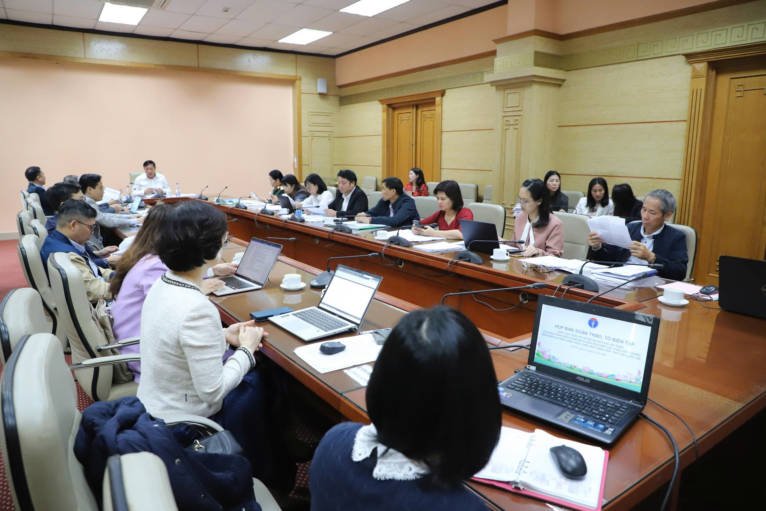 Đảm bảo tính thống nhất giữa các văn bản quy phạm pháp luật về mức sinh thay thế quốc gia- Ảnh 4.