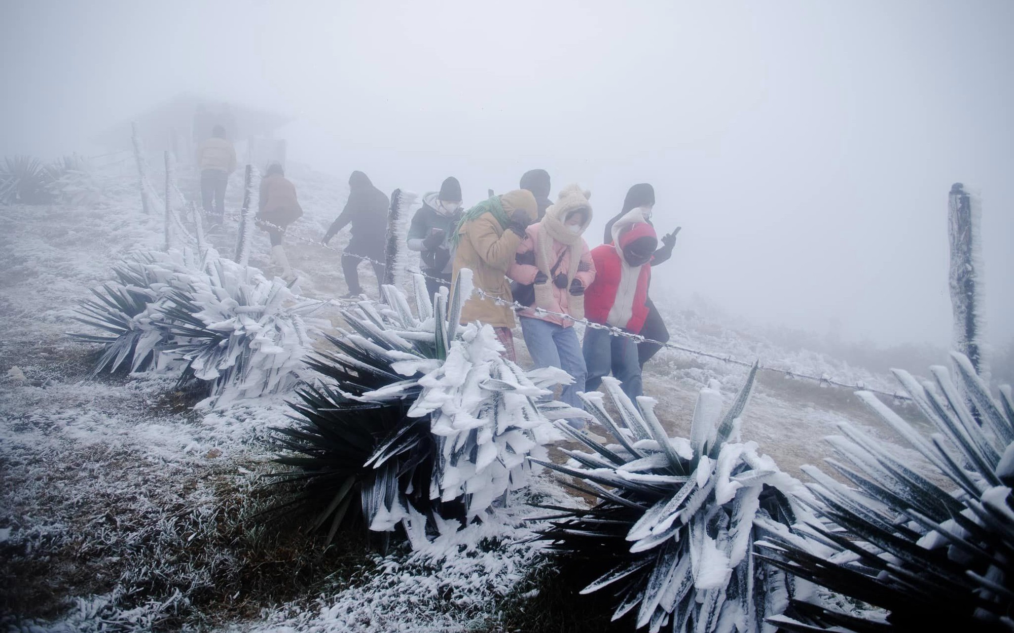 Miền Bắc chìm trong không khí lạnh, khả năng xuất hiện băng giá