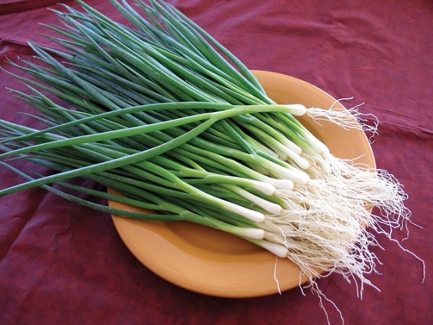 Hành lá – gia vị, vị thuốc quý của mùa đông- Ảnh 1.