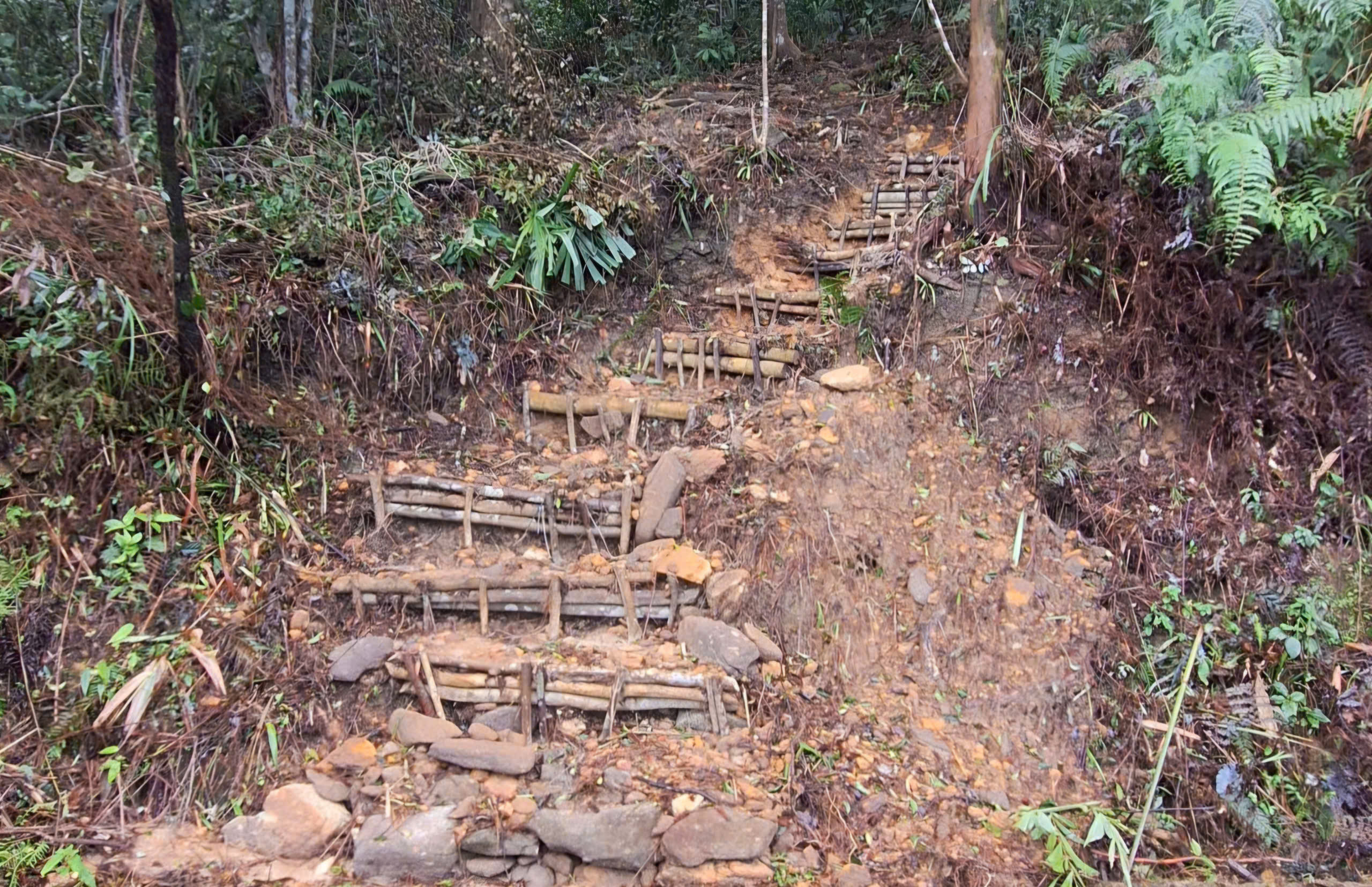 Đường lên đỉnh Bạch Mã bị sạt lở 'xé đôi', công tác bảo vệ rừng gặp khó- Ảnh 4.