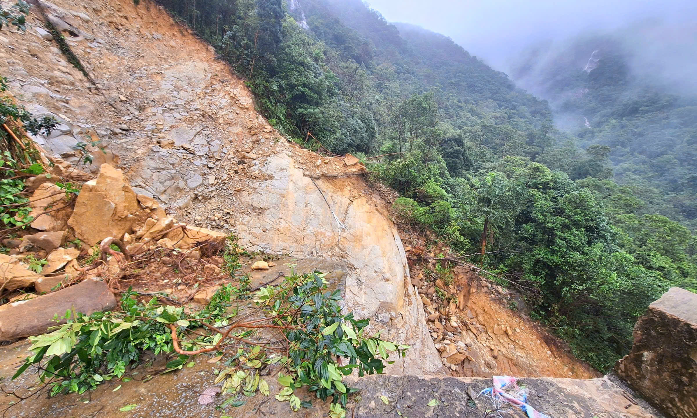 Đường lên đỉnh Bạch Mã bị sạt lở 'xé đôi', công tác bảo vệ rừng gặp khó- Ảnh 3.