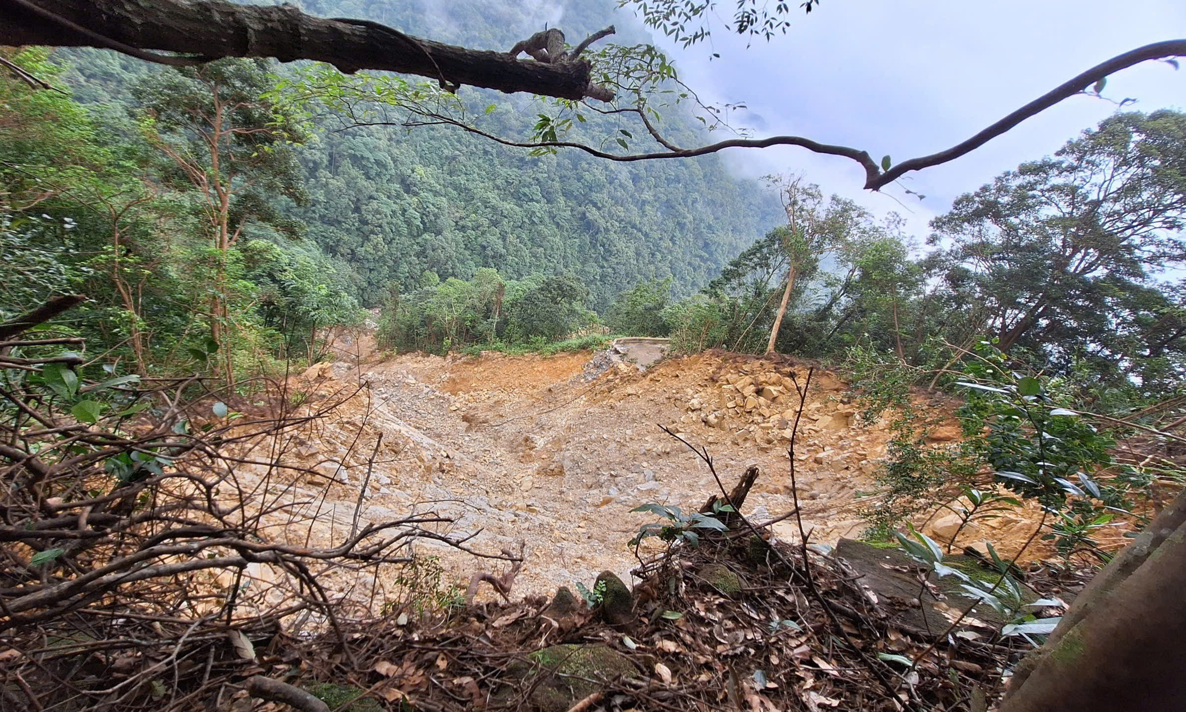 Đường lên đỉnh Bạch Mã bị sạt lở 'xé đôi', công tác bảo vệ rừng gặp khó- Ảnh 7.