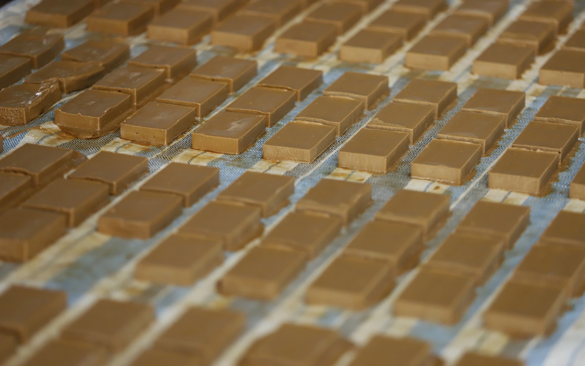 Năm thiên tai bão lũ lịch sử, thị trường hoa Tết sẽ diễn biến thế nào?- Ảnh 3.