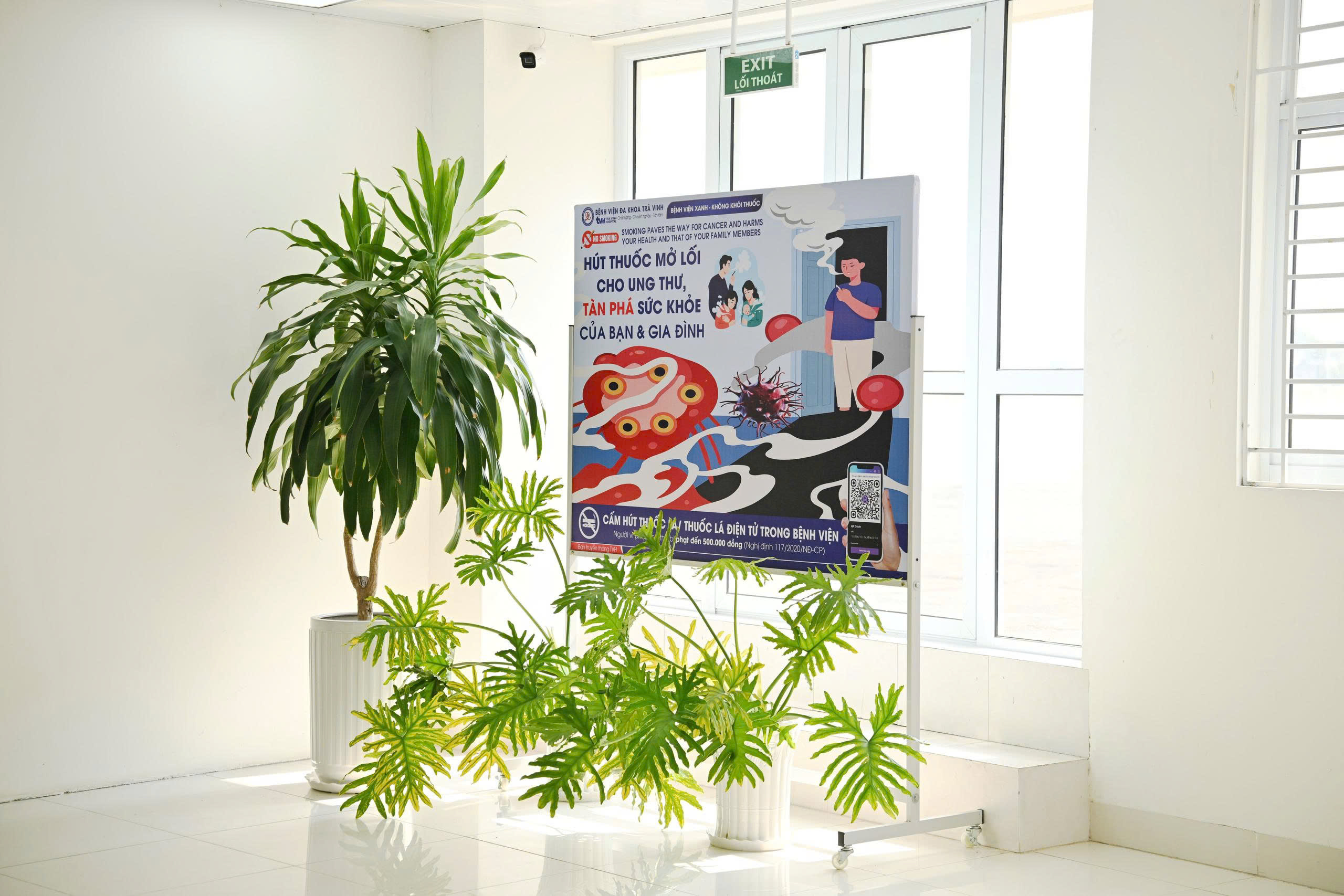 Hoạt động ý nghĩa thực thi Luật Phòng, chống tác hại của thuốc lá- Ảnh 2.