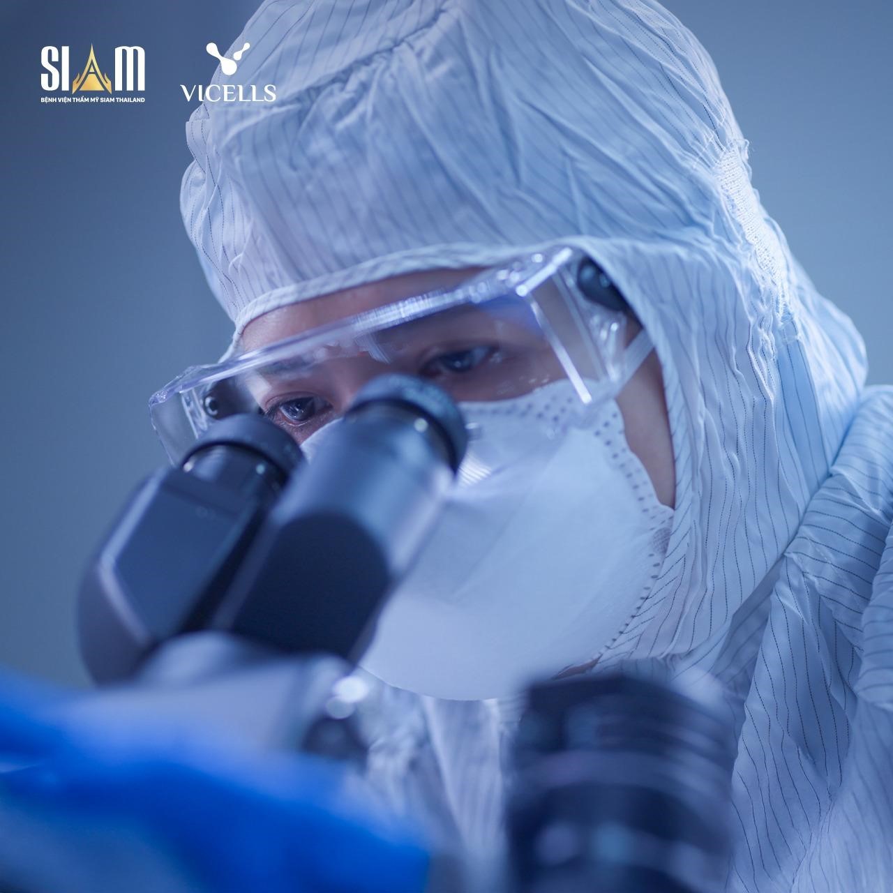 Xu hướng kết hợp thẩm mỹ và lưu trữ tế bào gốc tại VICELLS- Ảnh 2.