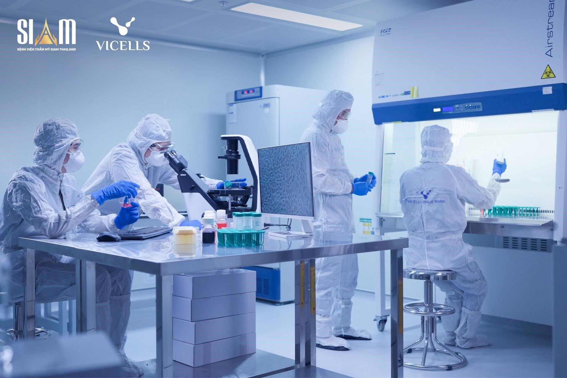 Xu hướng kết hợp thẩm mỹ và lưu trữ tế bào gốc tại VICELLS- Ảnh 3.