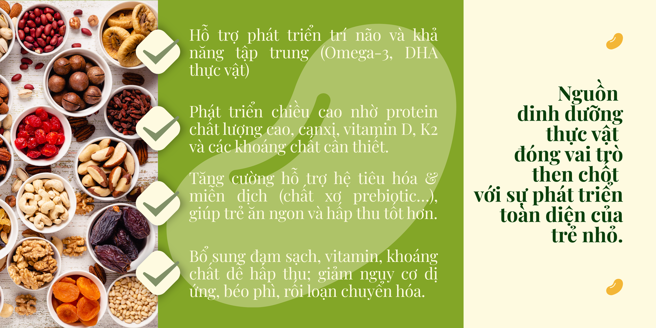 Từ chuyên gia đậu nành đến tiên phong dinh dưỡng thực vật: Vinasoy mở đường với dòng sữa hạt đầu tiên dành cho trẻ em- Ảnh 2. Từ chuyên gia đậu nành đến tiên phong dinh dưỡng thực vật: Vinasoy mở đường với dòng sữa hạt đầu tiên dành cho trẻ em- Ảnh 2.