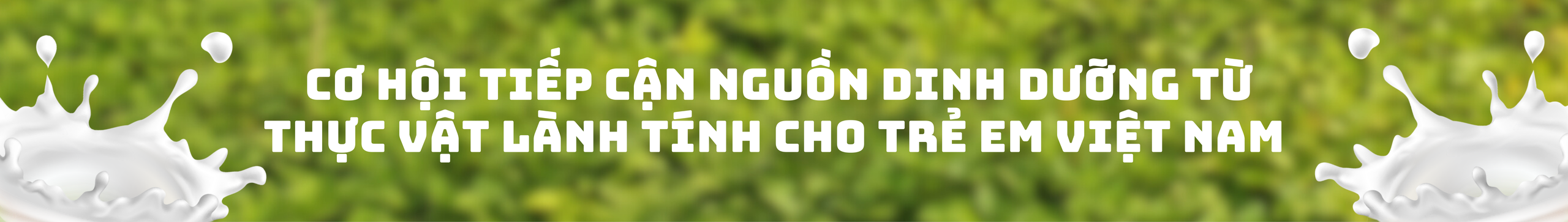 Từ chuyên gia đậu nành đến tiên phong dinh dưỡng thực vật: Vinasoy mở đường với dòng sữa hạt đầu tiên dành cho trẻ em- Ảnh 3. Từ chuyên gia đậu nành đến tiên phong dinh dưỡng thực vật: Vinasoy mở đường với dòng sữa hạt đầu tiên dành cho trẻ em- Ảnh 3.
