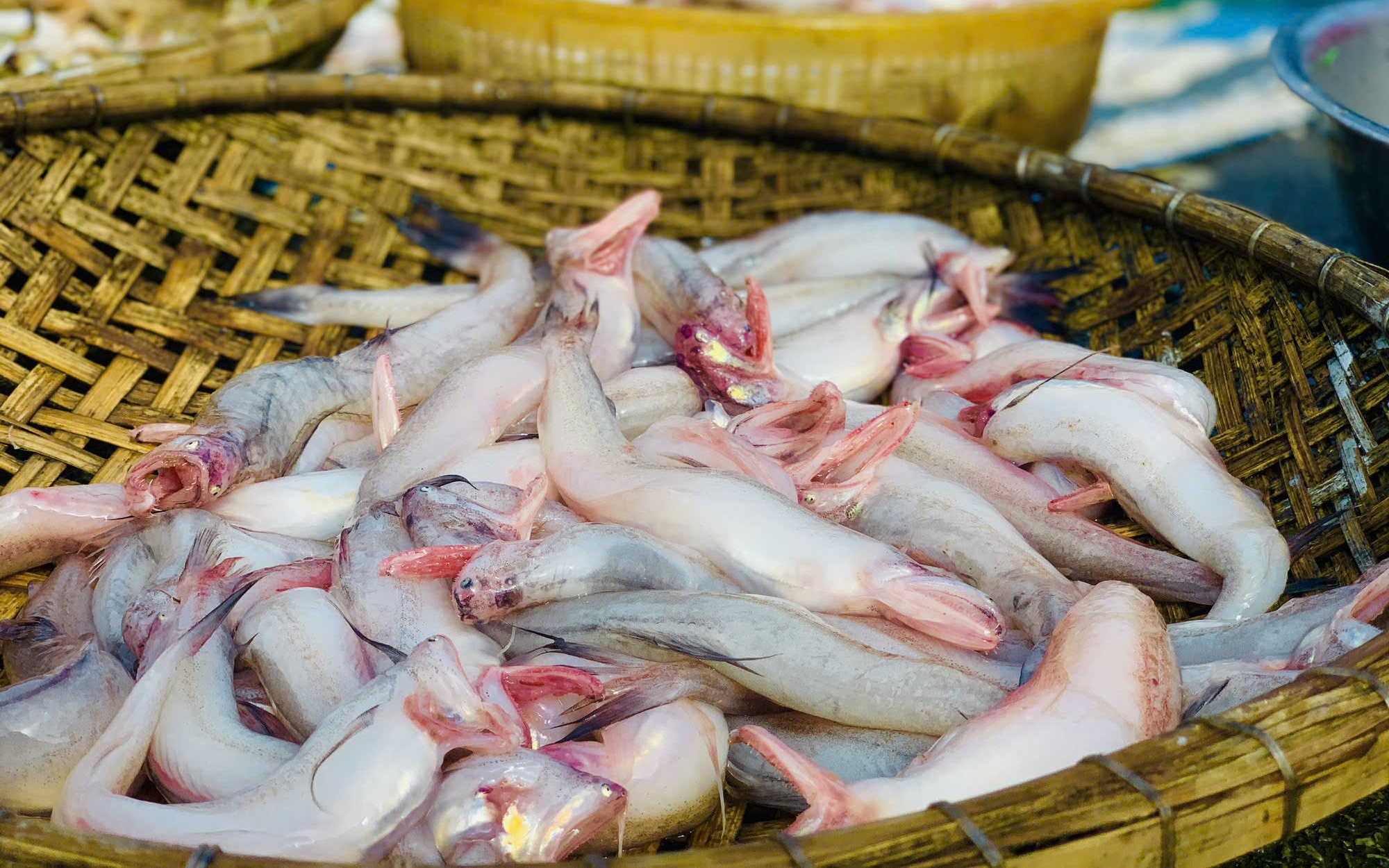 Từ vụ cá khoai tẩm formol, chuyên gia chỉ rõ nguy hại với sức khỏe con người- Ảnh 2.