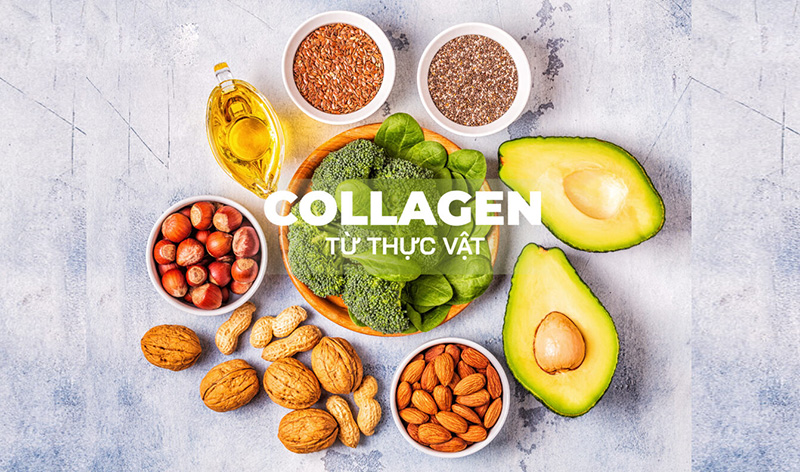 4 nhóm thực vật giàu collagen tốt hơn mỹ phẩm- Ảnh 3.