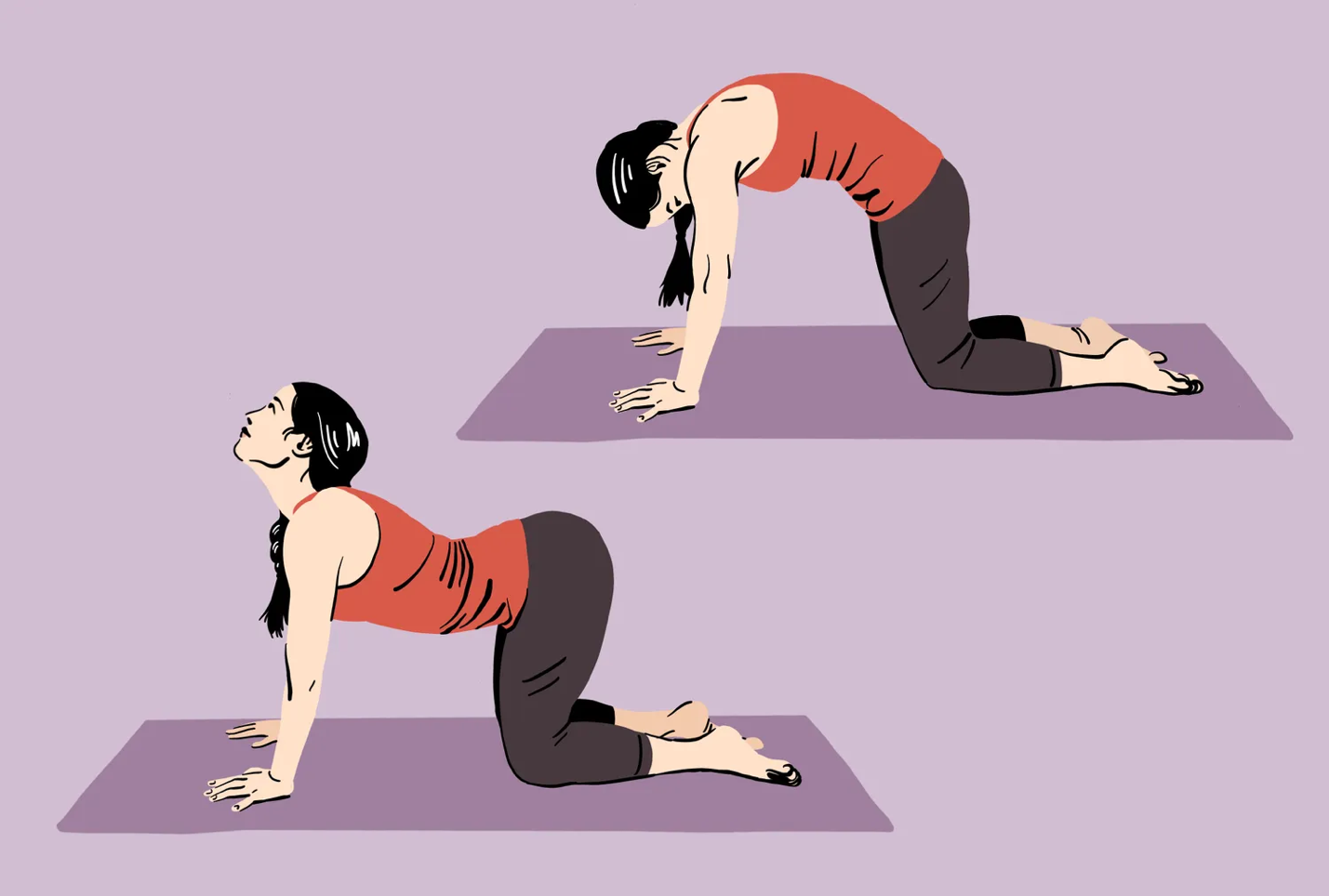 6 bài tập giãn cơ dân văn phòng nên tập mỗi ngày- Ảnh 6. Hình minh họa cho thấy hai tư thế yoga: tư thế mèo và tư thế bò, duỗi người trên thảm.