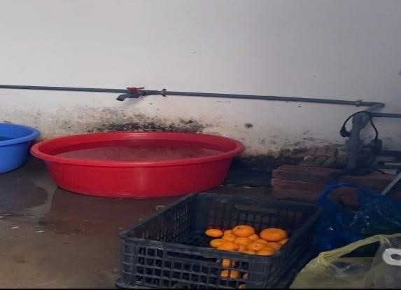 Giữa Hà Nội, dùng xe bò 'cải tiến' chở cơm cho học sinh bán trú- Ảnh 1.