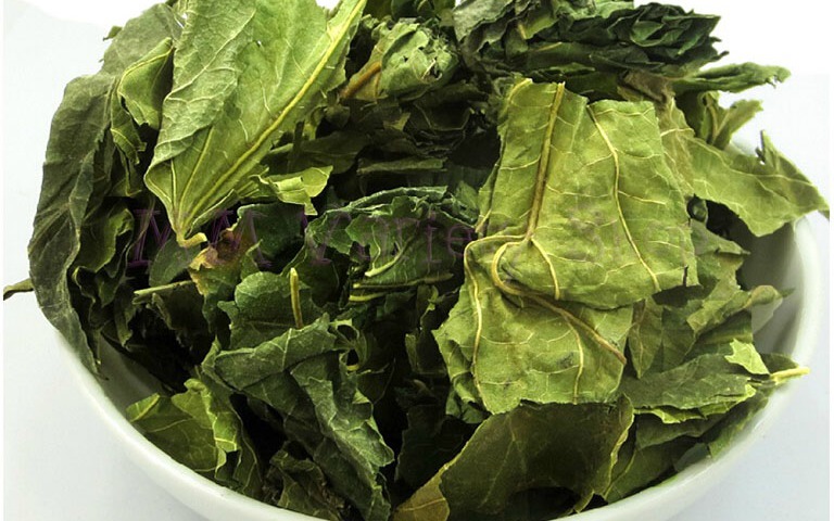 3 bài thuốc từ lá dâu tốt cho người bệnh tiểu đường