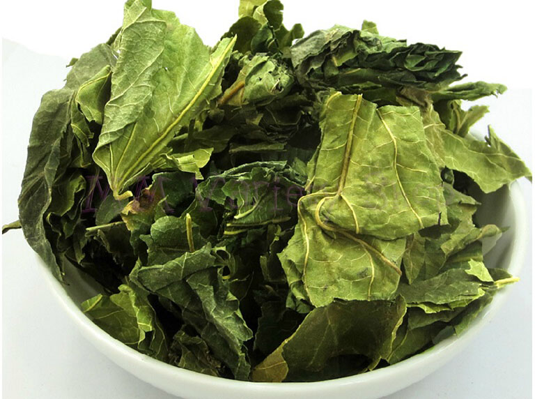 3 bài thuốc từ lá dâu tốt cho người bệnh tiểu đường- Ảnh 1. tang-diep