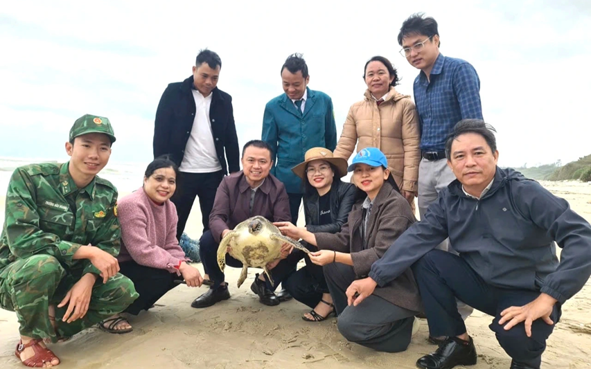 Đi làm rẫy, người đàn ông ở Huế phát hiện rùa núi viền quý hiếm- Ảnh 2.