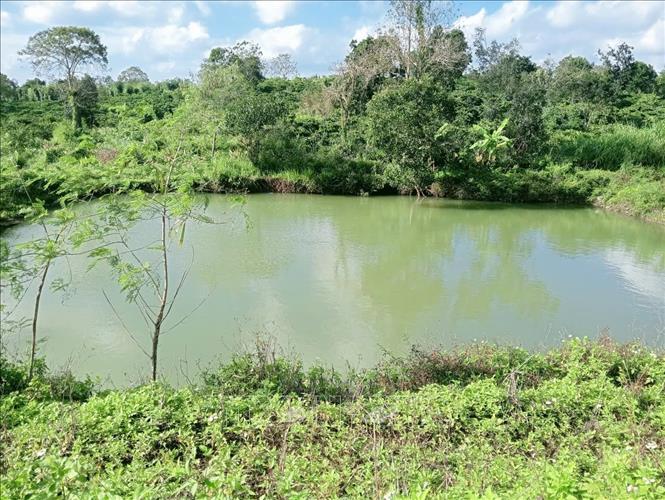 Rủ nhau đi tắm hồ, 3 em nhỏ bị đuối nước thương tâm- Ảnh 1.