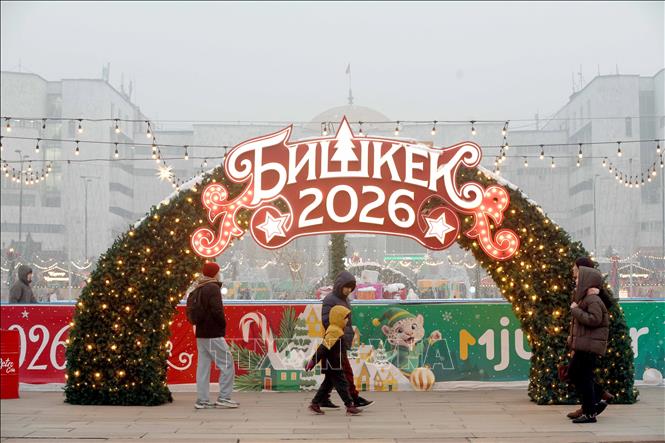 Thế giới hân hoan chờ đón Năm mới 2026- Ảnh 8.