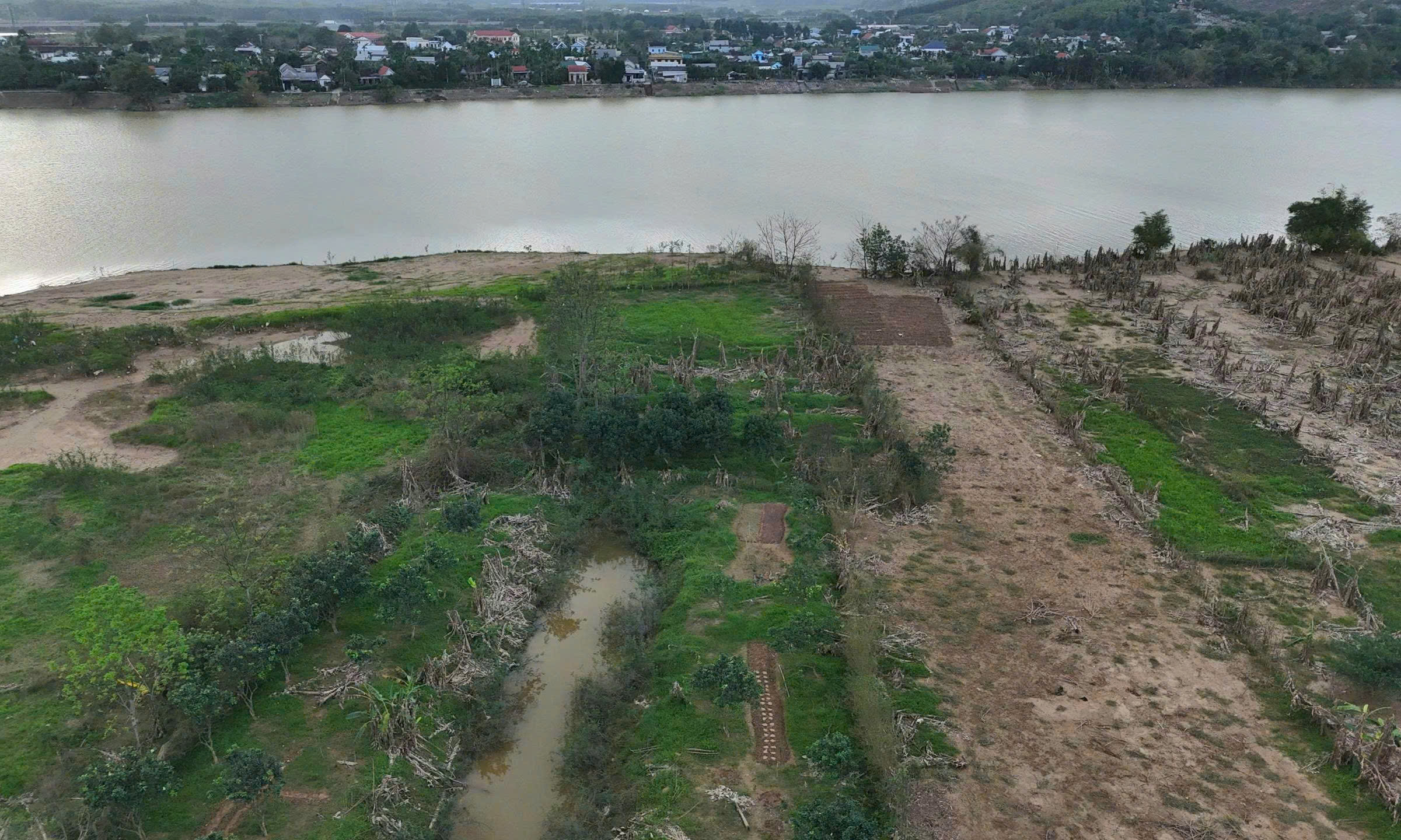 Xác xơ những khu vườn trồng đặc sản 'tiến vua' ở Huế sau lũ- Ảnh 10.