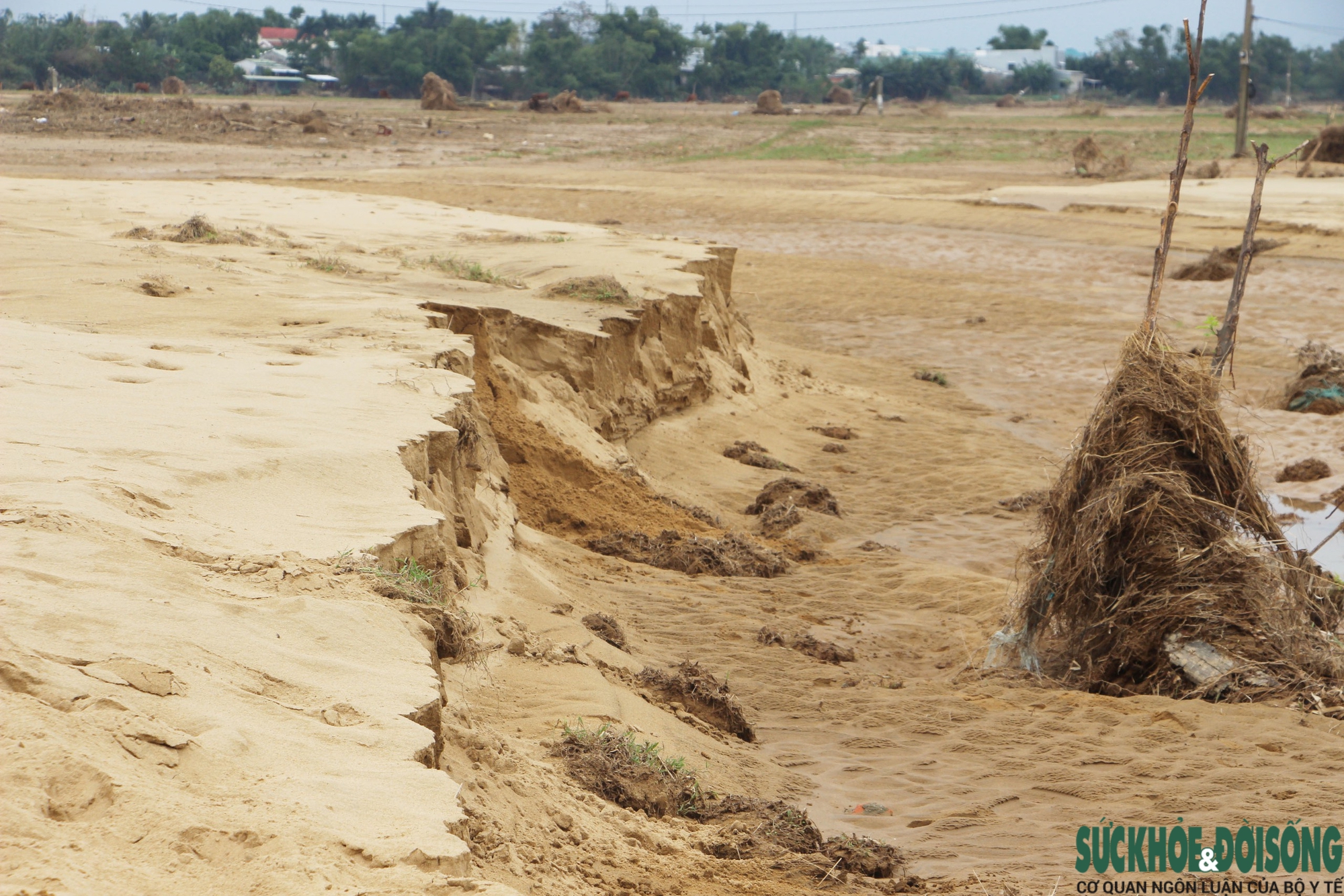 Đà Nẵng khẩn trương xử lý đất, cát bồi lấp sau đợt lũ lịch sử- Ảnh 7. Đà Nẵng khẩn trương xử lý đất, cát bồi lấp sau đợt lũ lịch sử- Ảnh 7.