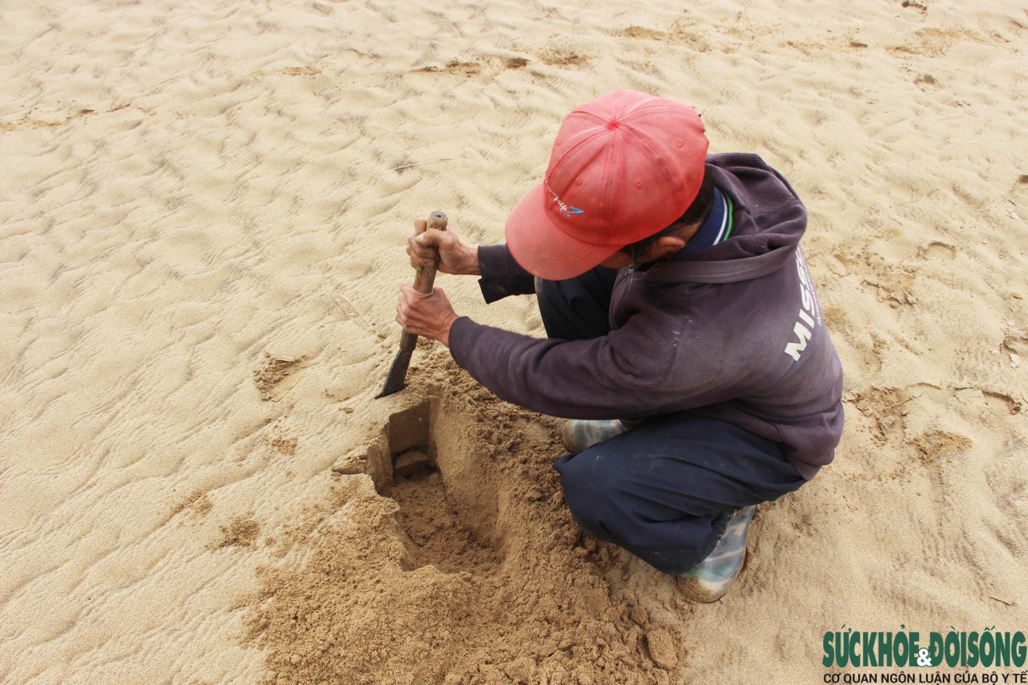 Đà Nẵng khẩn trương xử lý đất, cát bồi lấp sau đợt lũ lịch sử- Ảnh 8. Đà Nẵng khẩn trương xử lý đất, cát bồi lấp sau đợt lũ lịch sử- Ảnh 8.