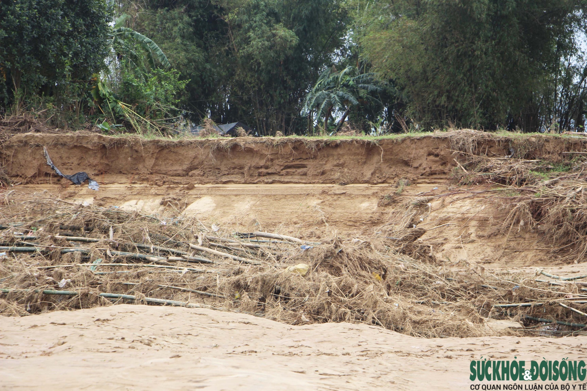 Đà Nẵng khẩn trương xử lý đất, cát bồi lấp sau đợt lũ lịch sử- Ảnh 9. Đà Nẵng khẩn trương xử lý đất, cát bồi lấp sau đợt lũ lịch sử- Ảnh 9.