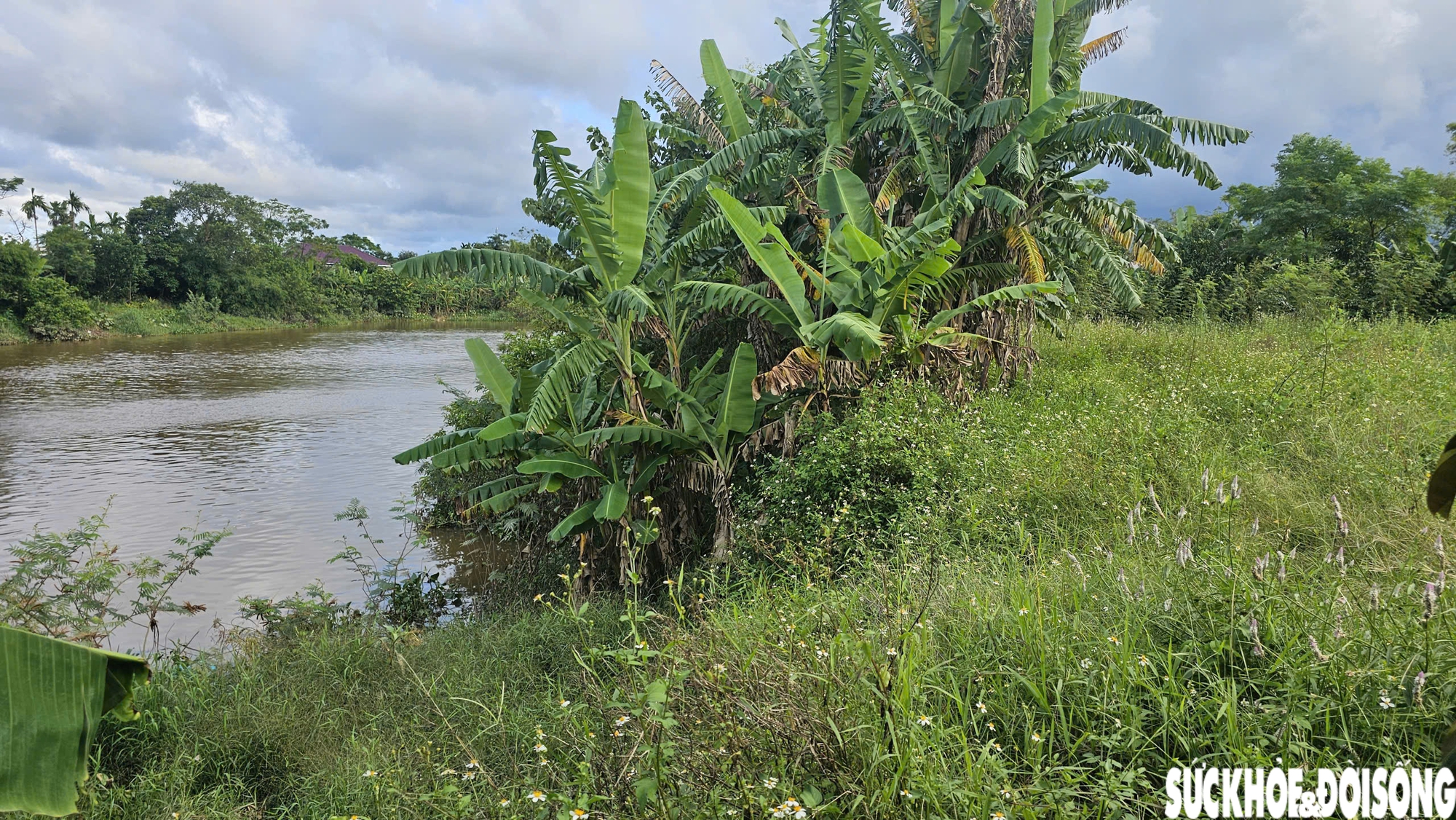 Bờ sông sạt lở nghiêm trọng uy hiếp nhà cửa, đất sản xuất của người dân sau mưa bão- Ảnh 3.