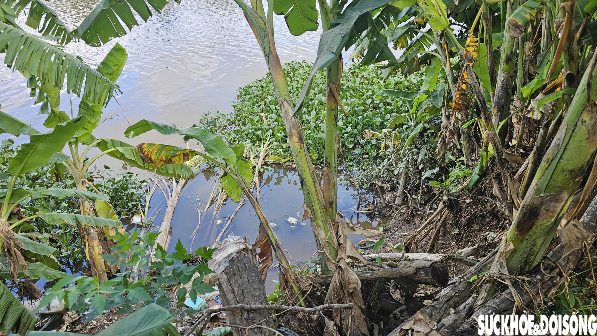 Bờ sông sạt lở nghiêm trọng uy hiếp nhà cửa, đất sản xuất của người dân sau mưa bão- Ảnh 4.