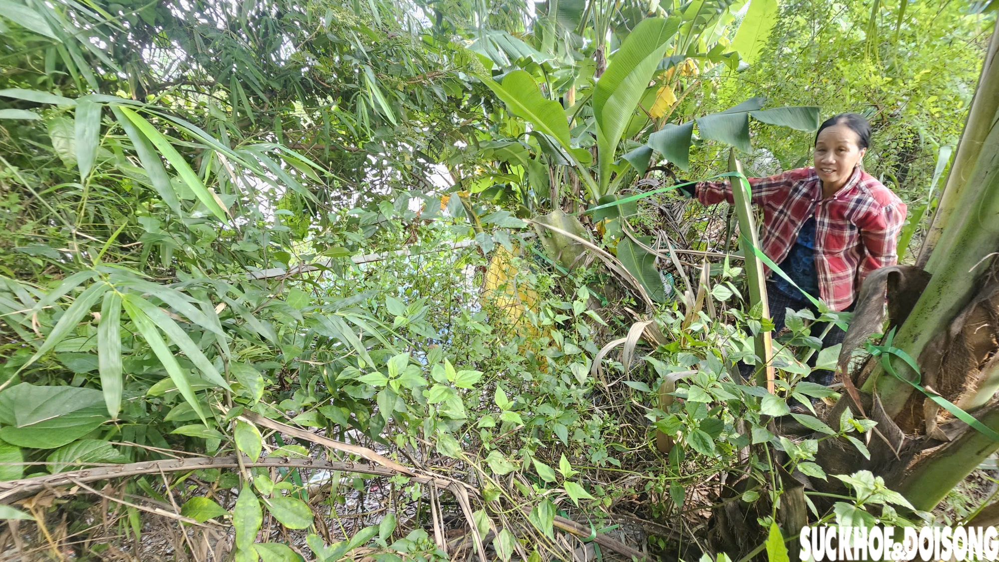 Bờ sông sạt lở nghiêm trọng uy hiếp nhà cửa, đất sản xuất của người dân sau mưa bão- Ảnh 6.