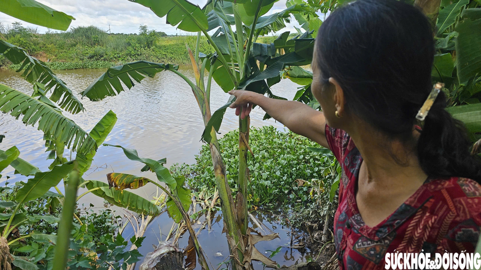 Bờ sông sạt lở nghiêm trọng uy hiếp nhà cửa, đất sản xuất của người dân sau mưa bão- Ảnh 7.