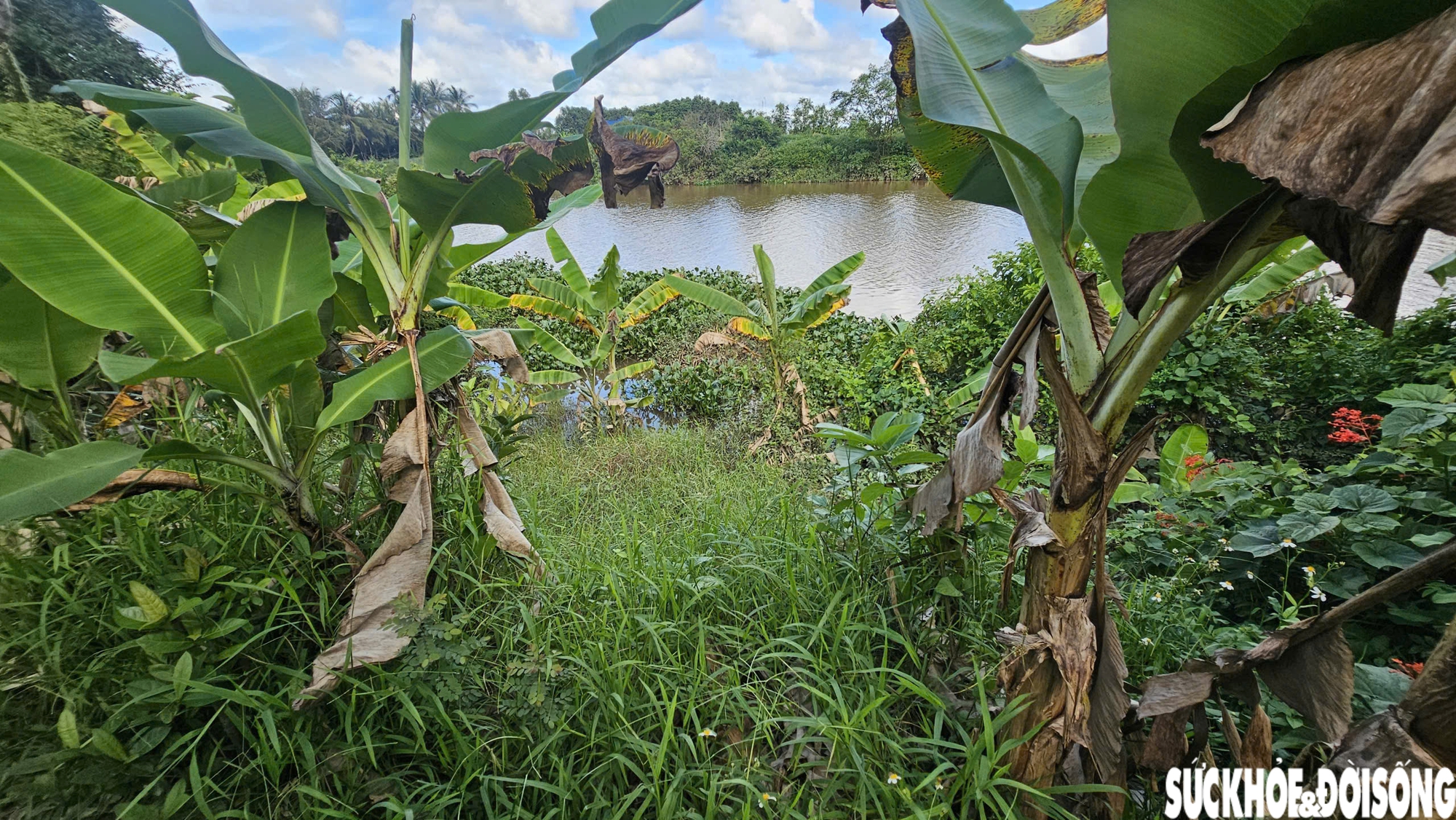 Bờ sông sạt lở nghiêm trọng uy hiếp nhà cửa, đất sản xuất của người dân sau mưa bão- Ảnh 8.