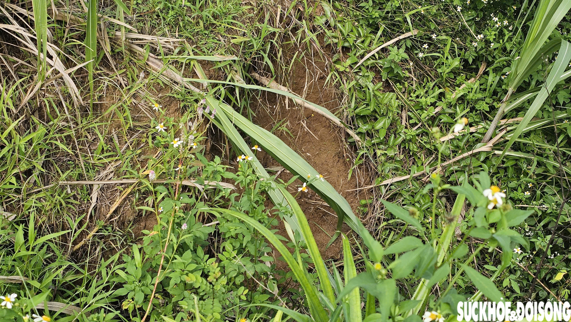 Bờ sông sạt lở nghiêm trọng uy hiếp nhà cửa, đất sản xuất của người dân sau mưa bão- Ảnh 9.