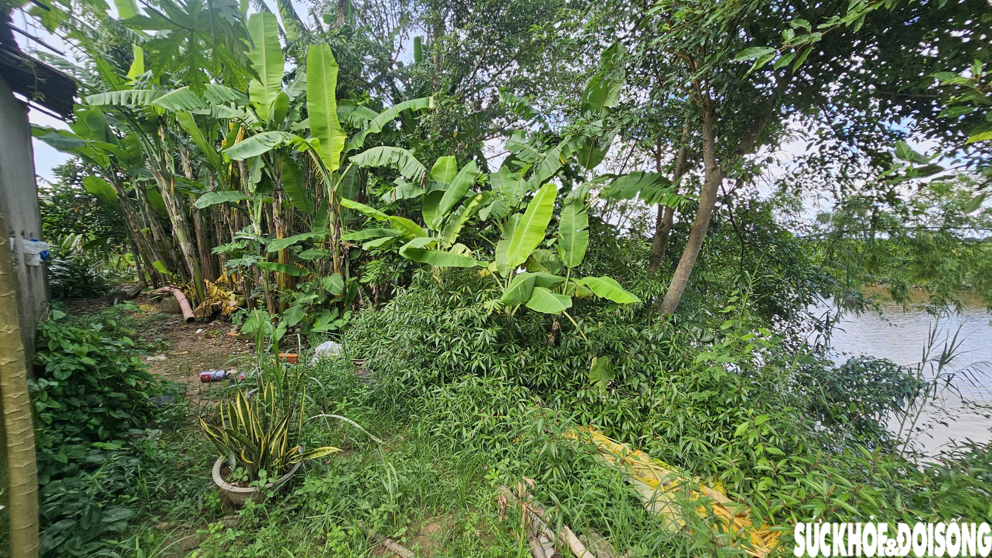 Bờ sông sạt lở nghiêm trọng uy hiếp nhà cửa, đất sản xuất của người dân sau mưa bão- Ảnh 10.