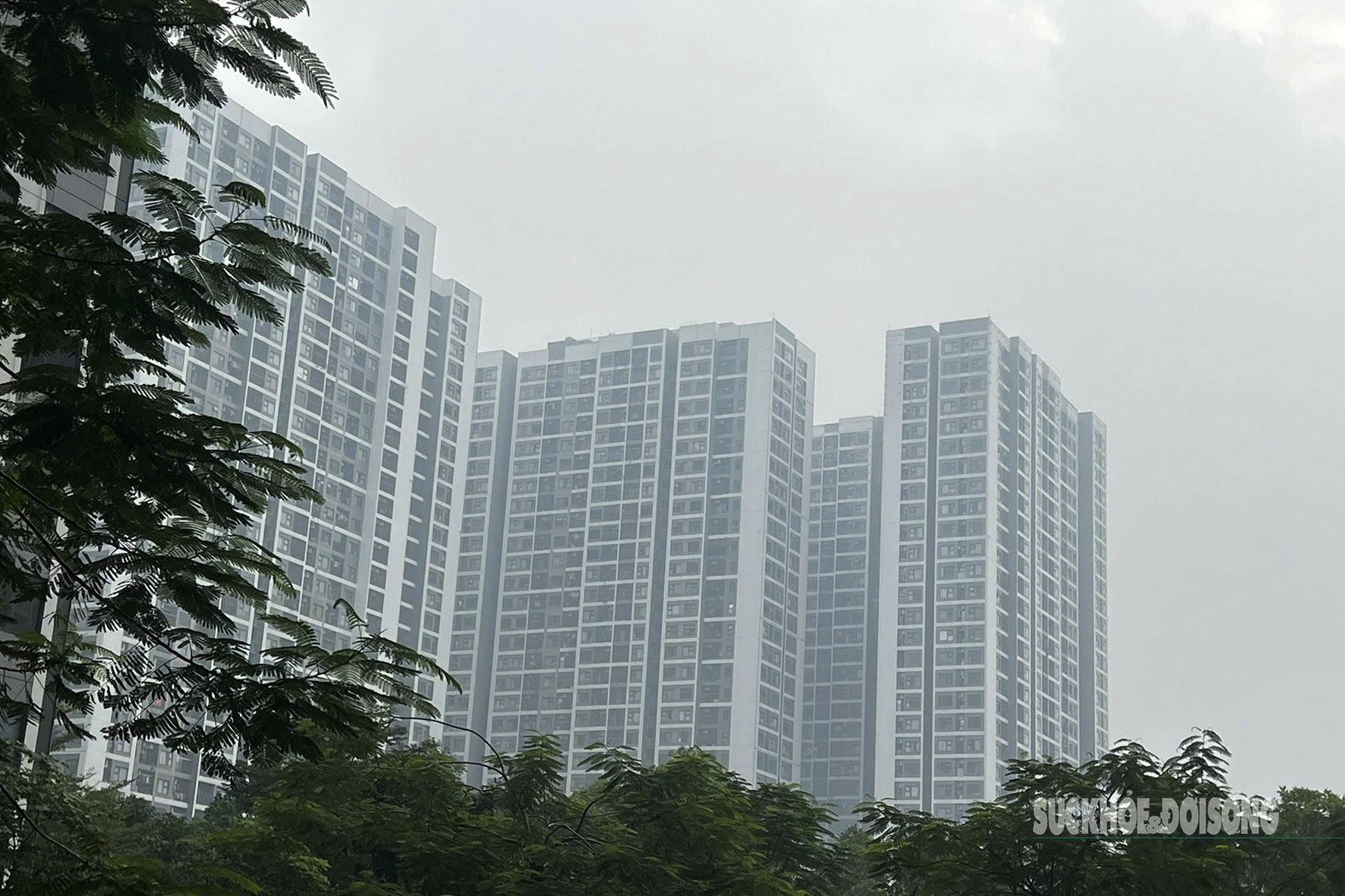 Tòa nhà cao tầng 'biến mất' sau lớp mù dày đặc- Ảnh 4.