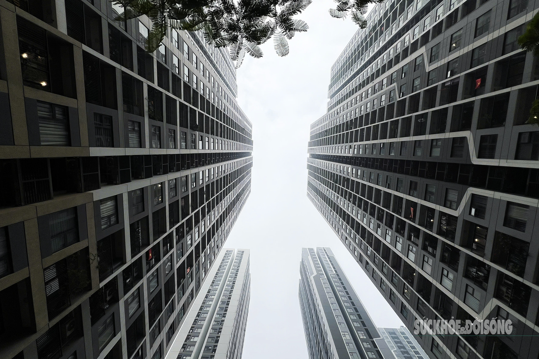 Tòa nhà cao tầng 'biến mất' sau lớp mù dày đặc- Ảnh 5.