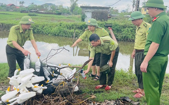 Đà Nẵng: Giải cứu nhiều chim kim oanh mỏ đỏ quý hiếm- Ảnh 4. Nghệ An đồng loạt truy quét, chặn đứng nạn tận diệt chim hoang dã