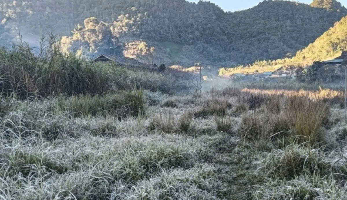 Sương mù phủ trắng quốc lộ, băng giá xuất hiện ở vùng biên Nghệ An- Ảnh 1.