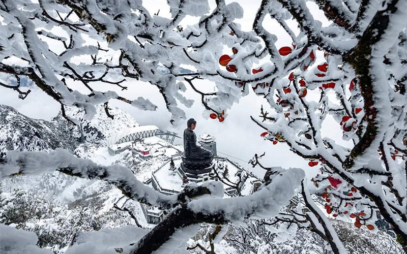 Khách du lịch có thể 