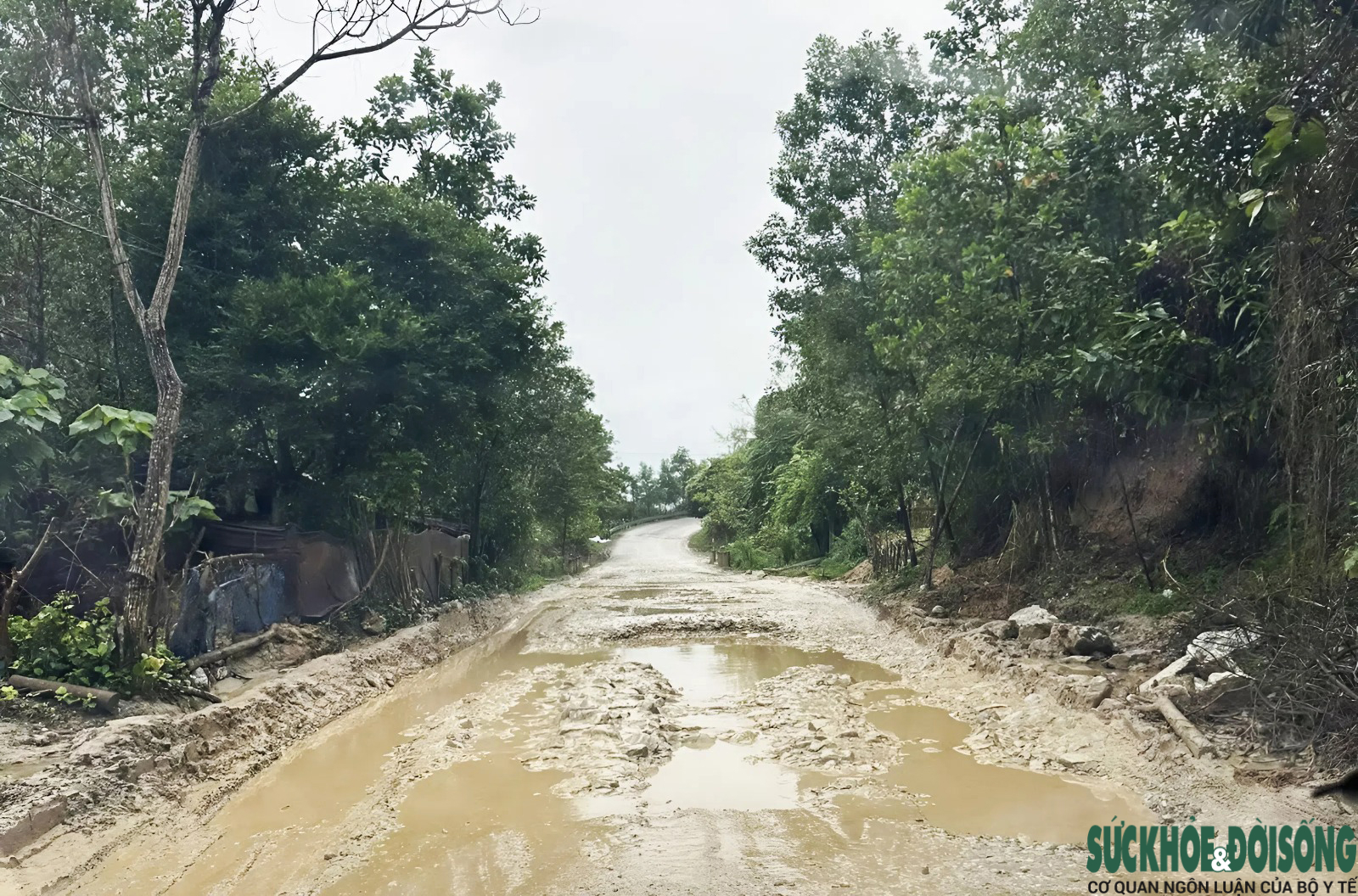 Cận cảnh Quốc lộ 14D 'nát như tương', Đà Nẵng chi hơn 4.500 tỷ đồng nâng cấp, cải tạo- Ảnh 2.