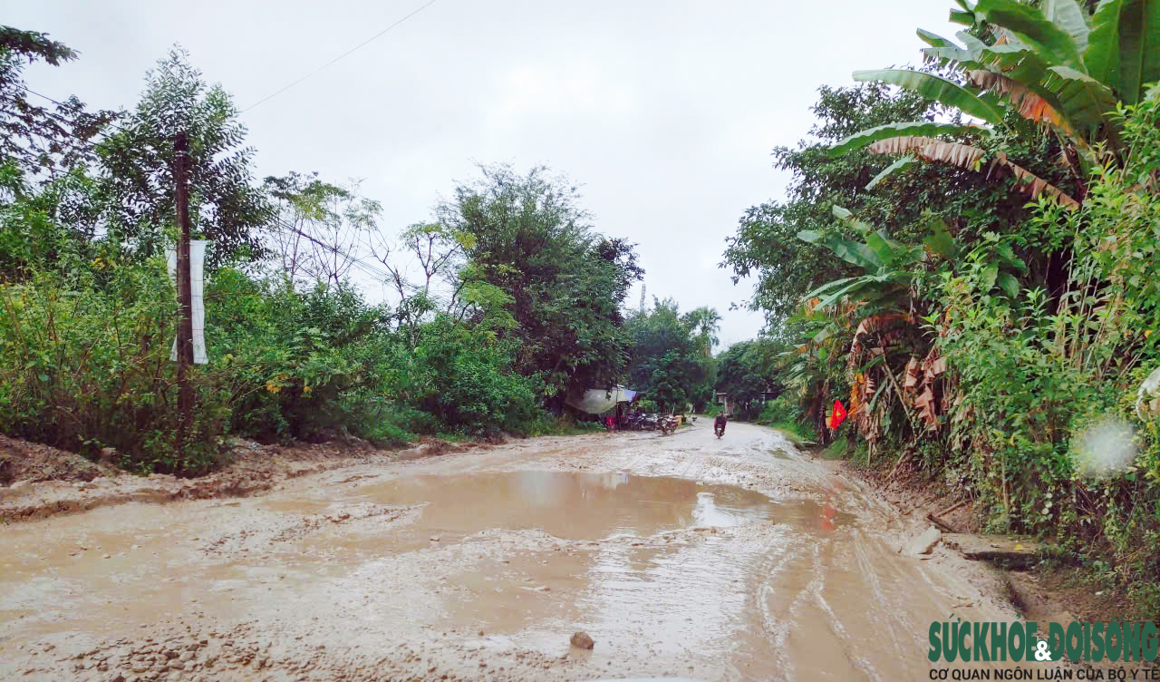 Cận cảnh Quốc lộ 14D 'nát như tương', Đà Nẵng chi hơn 4.500 tỷ đồng nâng cấp, cải tạo- Ảnh 11.