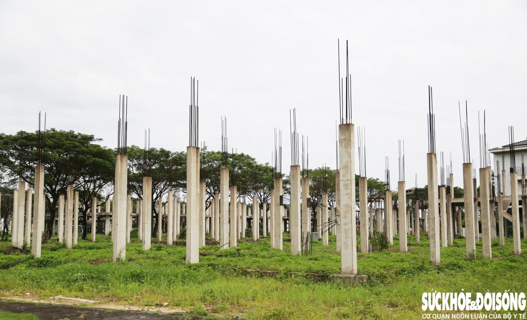 Cận cảnh khu đô thị nghìn tỷ vừa bị Thanh tra Chính phủ chỉ ra loạt sai phạm- Ảnh 6.