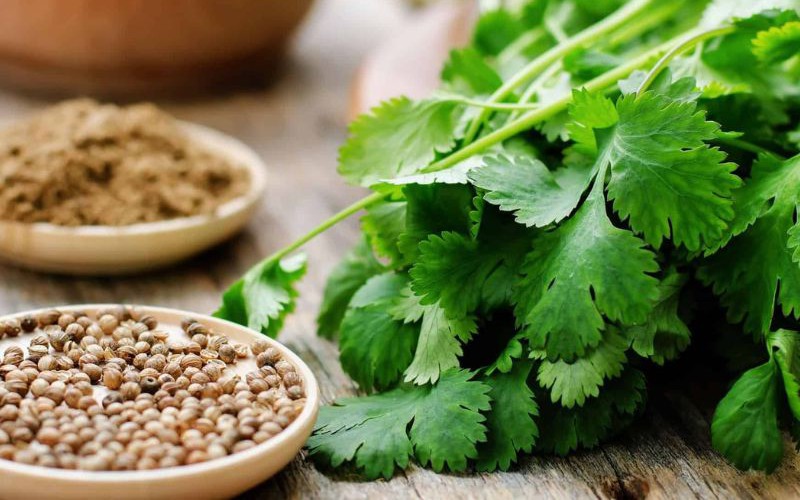 5 loại thực phẩm giúp thận lọc độc tố hiệu quả