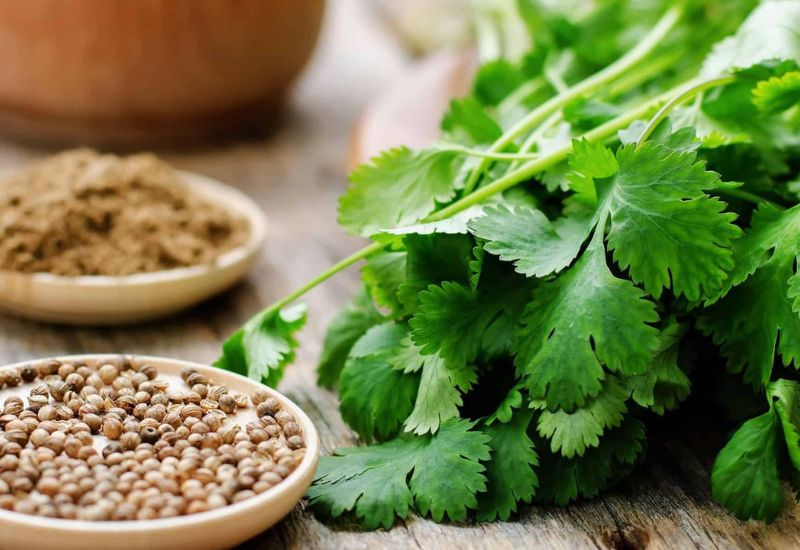 5 loại thực phẩm giúp thận lọc độc tố hiệu quả- Ảnh 3. 5 loại thực phẩm giúp thận lọc độc tố hiệu quả- Ảnh 3.