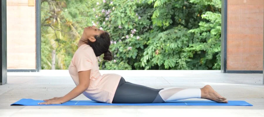 6 tư thế yoga đơn giản kích thích mọc tóc hiệu quả - Ảnh 6.