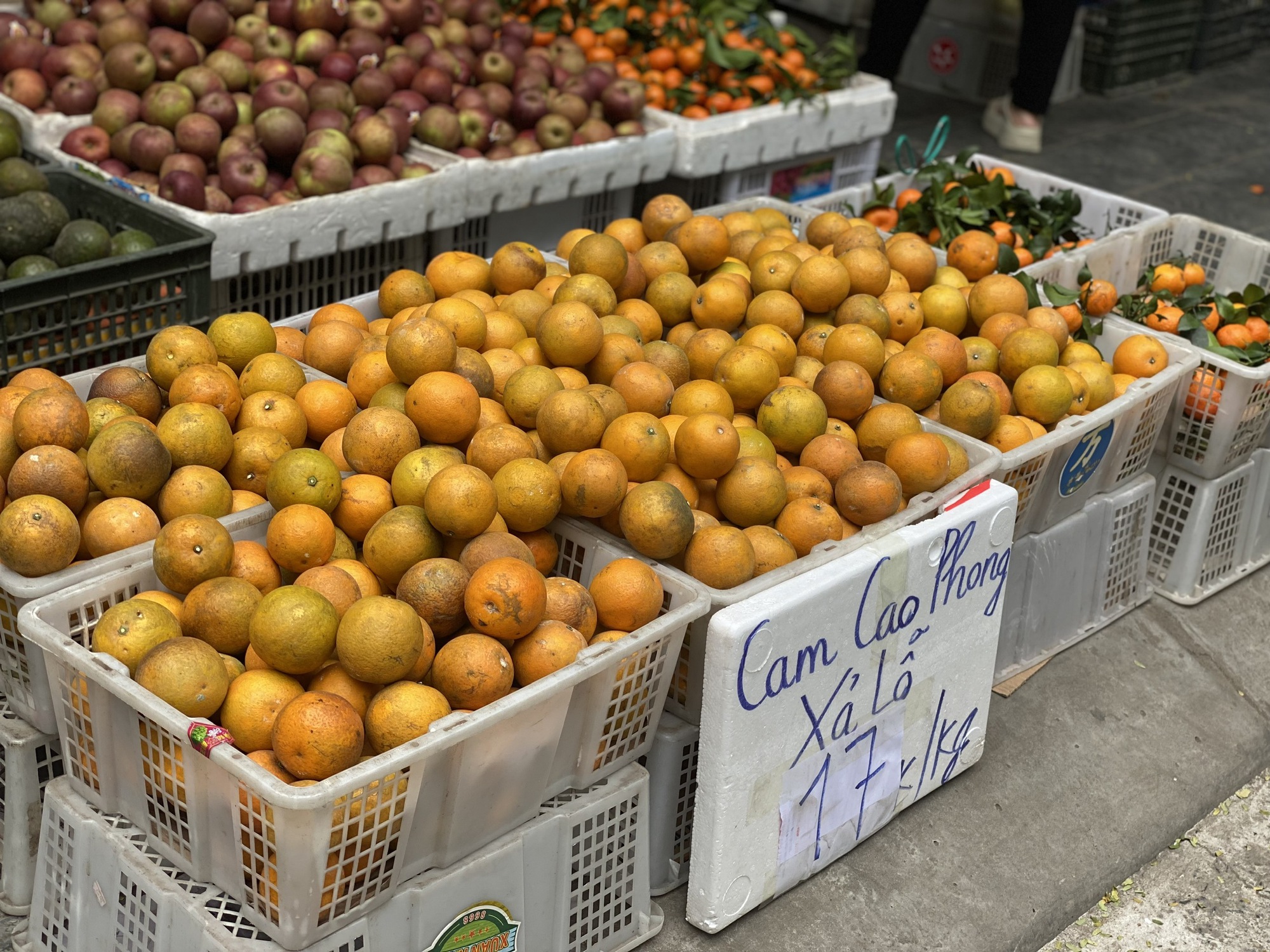 Một loại cam Việt vào mùa giá rẻ chỉ hơn chục nghìn đồng/kg, tiểu thương nhập hàng tạ mỗi ngày phục vụ khách quý- Ảnh 3.