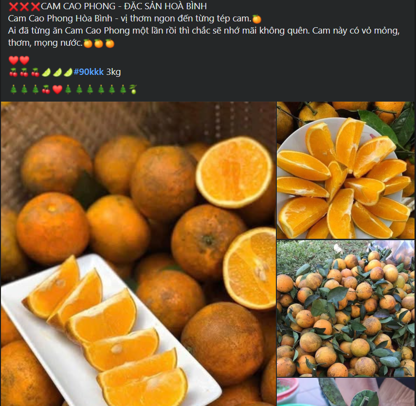 Một loại cam Việt vào mùa giá rẻ chỉ hơn chục nghìn đồng/kg, tiểu thương nhập hàng tạ mỗi ngày phục vụ khách quý- Ảnh 2.