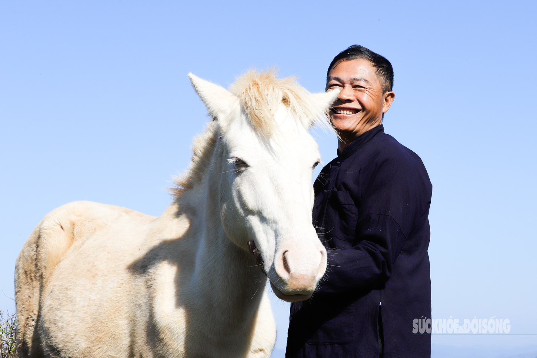 Loài ngựa quý hiếm được ví như 'vàng trắng' giúp người dân xứ Lạng đổi đời, xây nhà mua xe- Ảnh 2. Loài ngựa quý hiếm được ví như 'vàng trắng' giúp người dân xứ Lạng đổi đời, xây nhà mua xe- Ảnh 2.